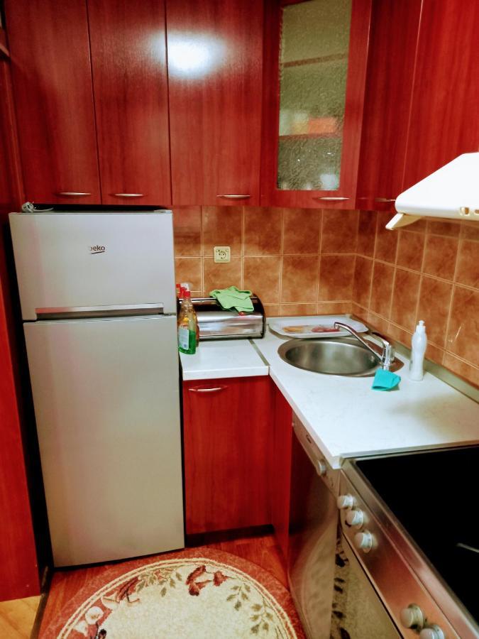 Stan Na Dan J & M Lägenhet Vrsac Exteriör bild