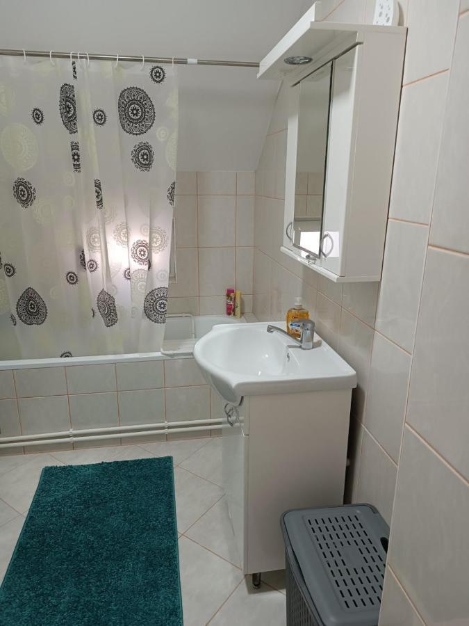 Stan Na Dan J & M Lägenhet Vrsac Exteriör bild