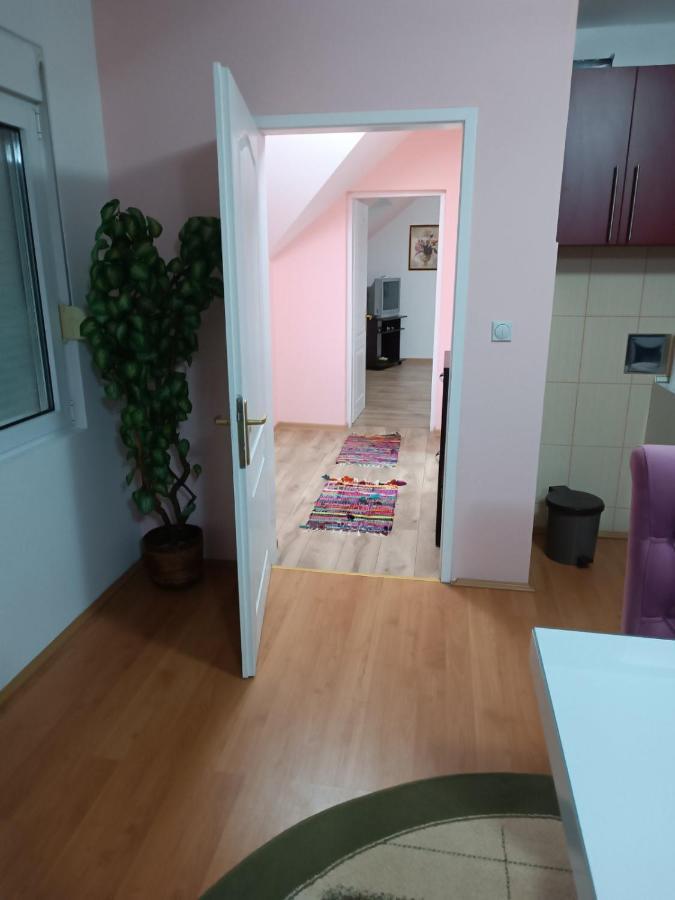 Stan Na Dan J & M Lägenhet Vrsac Exteriör bild